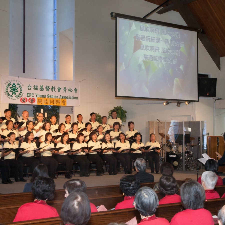 10045810494_e7eab505b5_k